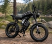 Електрически велосипед Z8 Pro 750W 31.2Ah Двойна Батерия 20” Full Suspension, снимка 2