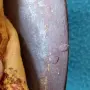 Индо-персийски щит., снимка 6