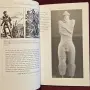 The Celts. An Illustrated History, снимка 5