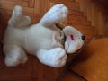 Голямо плюшено куче, снимка 4