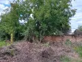 Къща с двор 2,5 декара в село Ресен, снимка 14