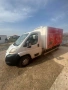 Peugeot boxer хладилен, снимка 3