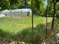 Просторна обзаведена къща с двор и отлична локация в село Петърч, снимка 9