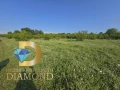 Земеделска земя в село Добрич, общ. Димитровград, снимка 3