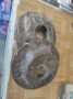 Задни спирачни дискове за Ауди 80 B3 B4, купе, 90, 100 C2 C3, снимка 2
