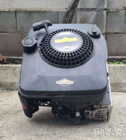 Двигател с вертикален вал Briggs & Stratton за косачка мотофреза