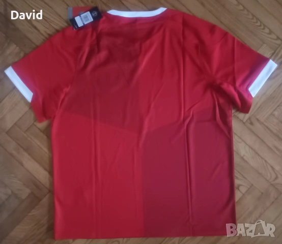 Оригинална Ръгби фланелка на Уелс 19/20, снимка 2 - Други спортове - 54880851