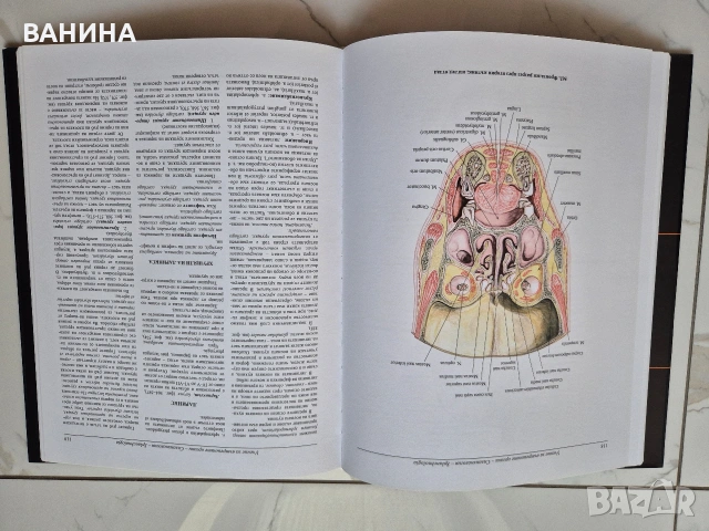 НОВИ! КОЛЕКЦИЯ " АТЛАС ПО АНАТОМИЯ НА ЧОВЕКА " Р.Д. СИНЕЛНИКОВ , снимка 17 - Здраве, медицина и спорт - 55137759