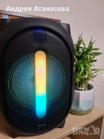Muhler колона с лед осветление 8" 16W, снимка 2 - Тонколони - 54511635