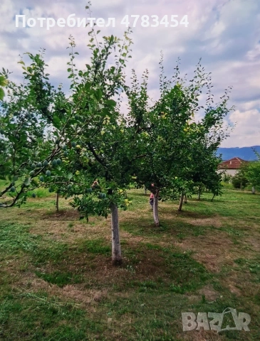 Парцел в регулация Овощна градина , снимка 2 - Парцели - 54801013