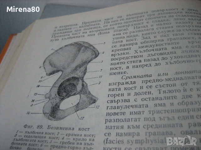 Анатомия и физиология на човека - 1976 г., снимка 5 - Специализирана литература - 54732677