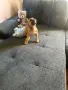 Две прекрасни момченца, снимка 5