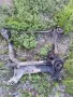 Части за Volvo Xc60 D3 -2010г, снимка 11