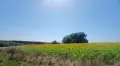 Продава се имот идеален за енергийно независим проект (Off - Grid )., снимка 8