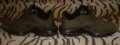 Продавам/Бартер NIKE AIR Tn / НАЙК ЕАР Ти Ен - Оригинални Маратонки за Спорт или Работа !, снимка 2