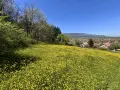 Топ Панорамен парцел с.Тополово, снимка 8