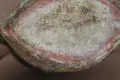 Троянска кана с.Шипково , снимка 11