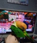 Бебета  Кайка , снимка 4