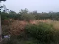 Продавам парцел в село Д-р Йосифово.Област Монтана , снимка 3