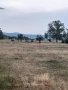 Парцел, снимка 2