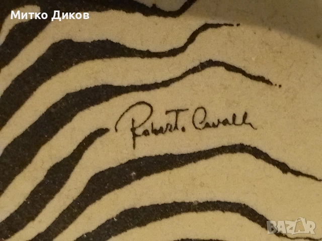 Калъф за слънчеви очила Roberto Cavalli, снимка 4 - Слънчеви и диоптрични очила - 54857554