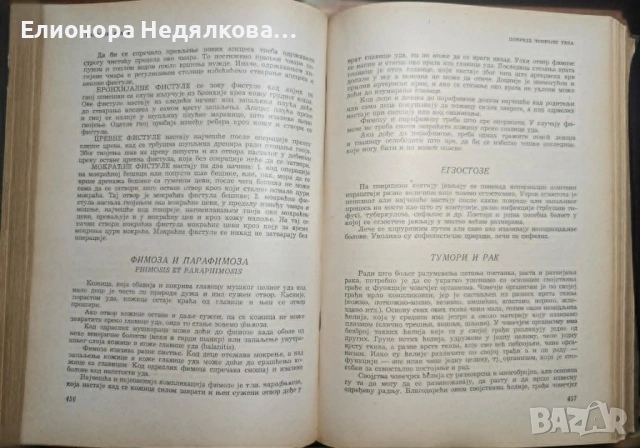 Народни лекар (народна медицина и фитотерапия), снимка 2 - Специализирана литература - 54910355