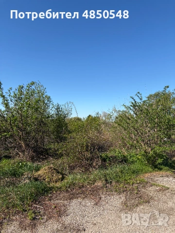 УПИ в гр. Брегово, снимка 3 - Парцели - 54818613