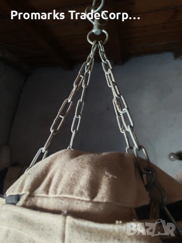 Боксова круша, снимка 4 - Бокс - 54158768