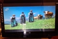 Видео/DVD SONY HIFI SLV D900E, снимка 4