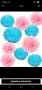 Лот (украса) за парти за разкриване на пола на бебе (gender reveal), снимка 10