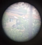 Бинокъл WW1 Carl Zeiss Jena , снимка 9