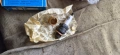 Нови качествени Свещи ВМЗ 7 Уаз Газ Къса резба Ретро Руски Руско Руска соц части , снимка 3