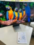Геймърски монитор Samsung LS34DG850SUXDU **ГАРАНЦИЯ**, снимка 11