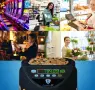 Securina24 SR1200LCD Професионален брояч и сортираща машина за евро монети, снимка 4