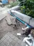 Търсим дом за Леа, снимка 6