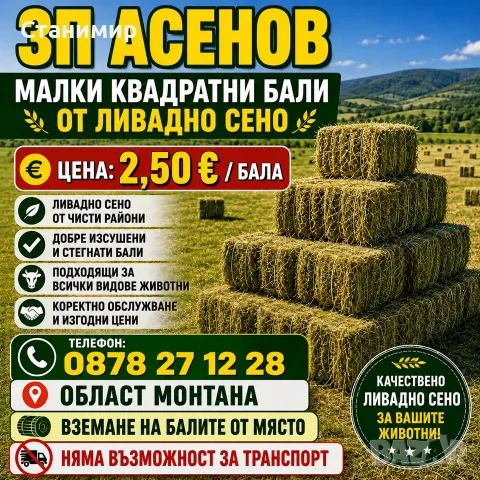 Бали ливадно сено , снимка 2 - За селскостопански - 55005937