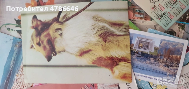 Лот ретро картички и календарчета 125 броя , снимка 10 - Други - 54125314