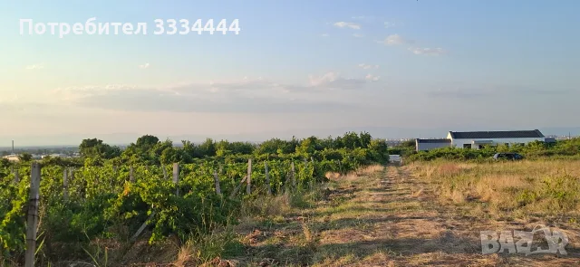 Продавам имот местност Пичковец, с. Марково, гр. Пловдив, снимка 4 - Земеделска земя - 55564062