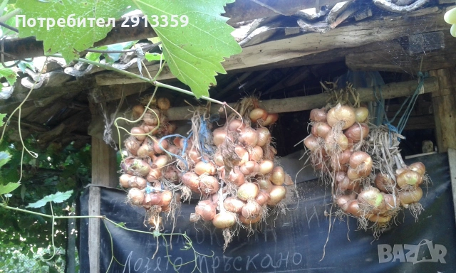 Селска къща село Баячево, снимка 7 - Къщи - 54242247