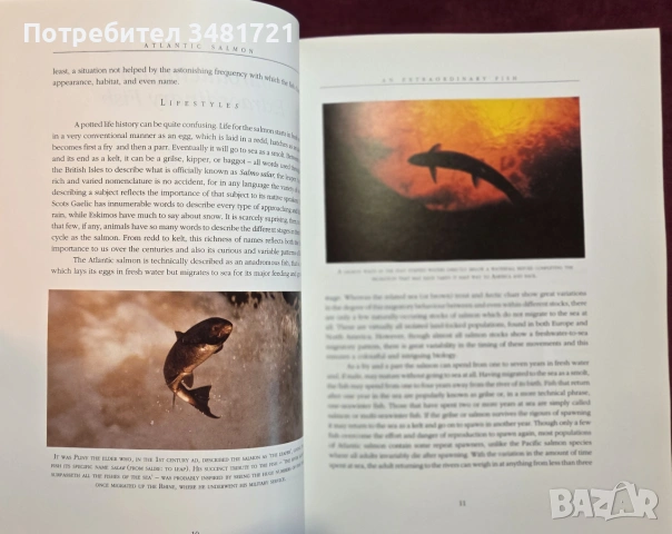 Атлантическата сьомга - илюстриран справочник / Atlantic Salmon. An Illustrated History, снимка 4 - Енциклопедии, справочници - 54956938
