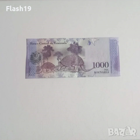 ⭐ Венецуела 1000 боливара 2017 AU, снимка 2 - Нумизматика и бонистика - 54073147
