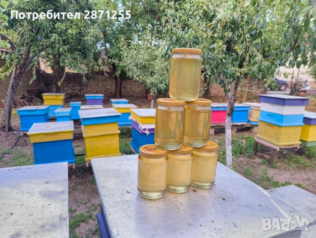 Пчелен мед сезон 2026г, снимка 2 - Домашни продукти - 50262596