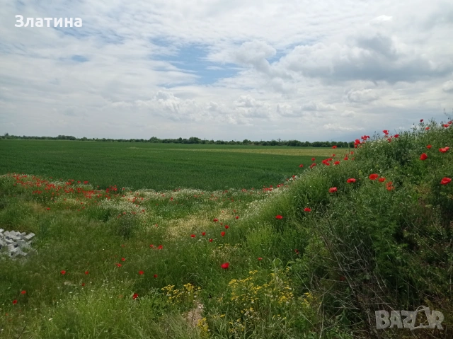 Парцел 
