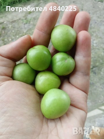 Зелени джанки- 6E, 5E, 4E, 3E, 2E, снимка 2 - Други - 54899779