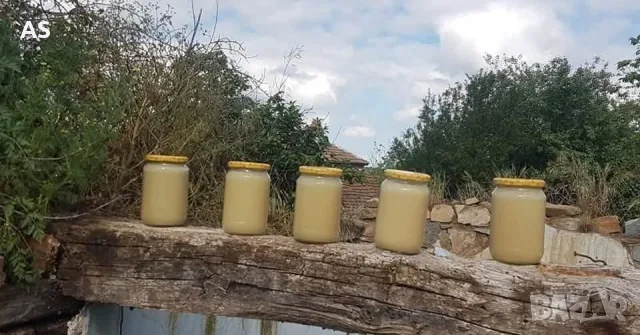 Продавам 2 тенекии мед от рапица