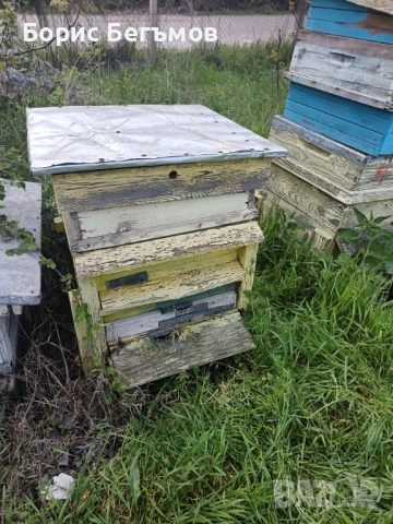 Кошери за пчели., снимка 6 - Други животни - 54258602
