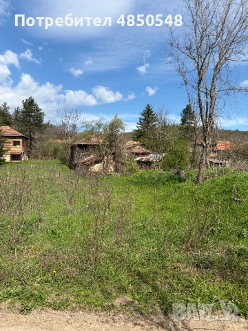 парцел със стара къща в с. Синаговци, Видинско, снимка 2 - Парцели - 54818484