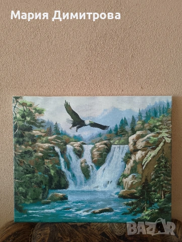 картини по номера, снимка 4 - Картини - 54320635