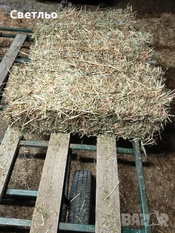 Продавам малки бали грах и овес, снимка 2 - За селскостопански - 55105818