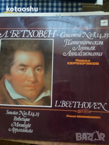 Грамофонни плочи - български, руски, полски и други, снимка 14 - Грамофонни плочи - 54448288